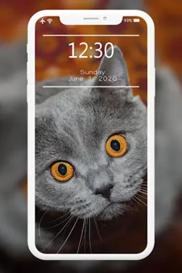 Cutest Cats Wallpaper android App screenshot 0