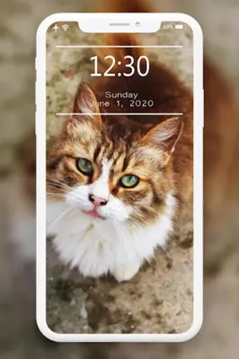 Cutest Cats Wallpaper android App screenshot 1