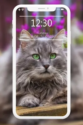 Cutest Cats Wallpaper android App screenshot 3