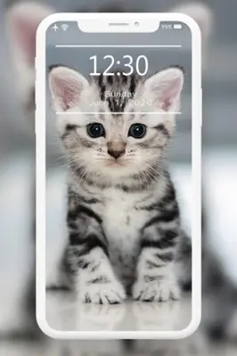 Cutest Cats Wallpaper android App screenshot 4