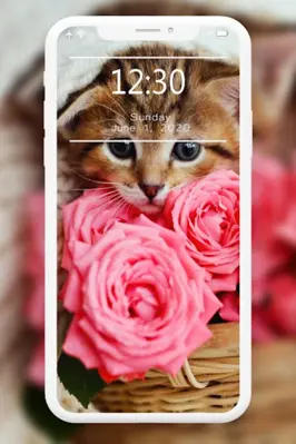 Cutest Cats Wallpaper android App screenshot 5